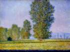 clmonet343_small.jpg