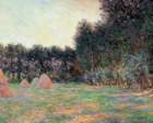 clmonet345_small.jpg