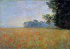 clmonet391_small.jpg