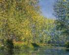 clmonet468_small.jpg